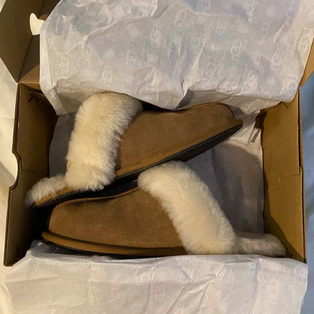 Brand New UGG Scuffette II Slippers Size 8